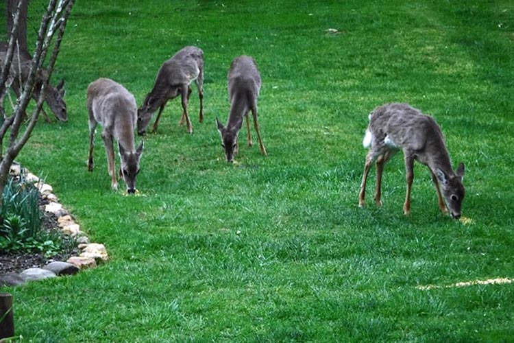 Ancestral Healing and Cosmic Connect-the-Dots