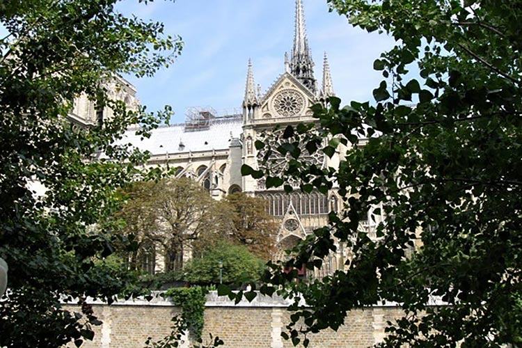 AI Loves My Books: Literary Spam