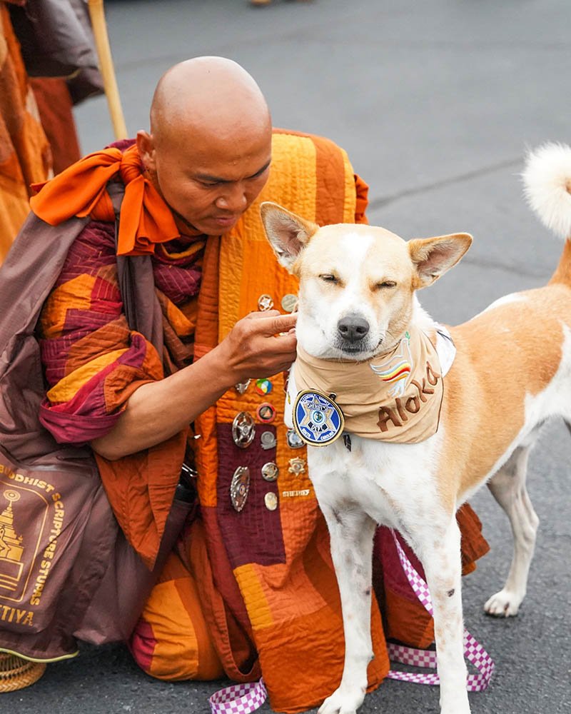 Blog by Rachelle Rogers - LUMINATIONS: a glimpse of my authentic life