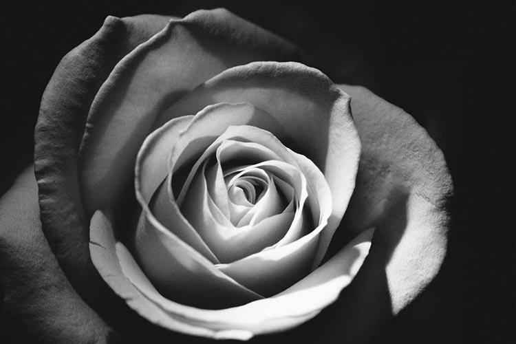 Images Of Remembered Passion Revisited