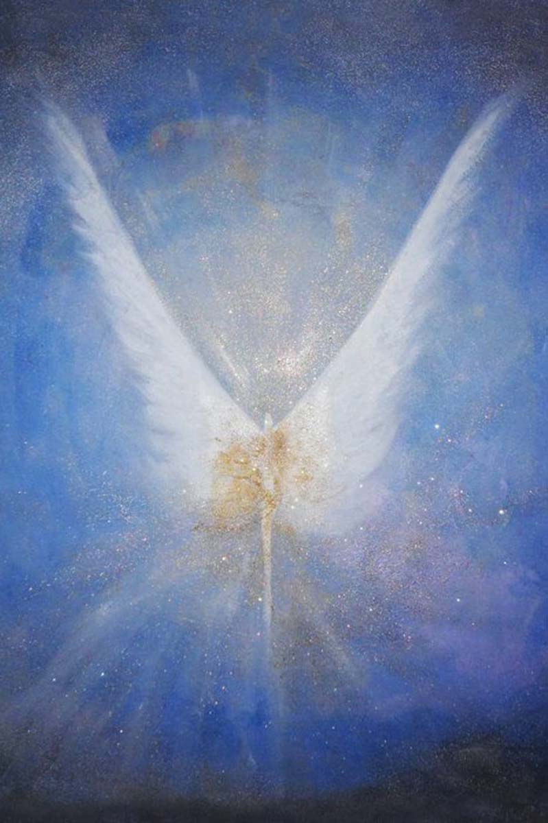 Angel web