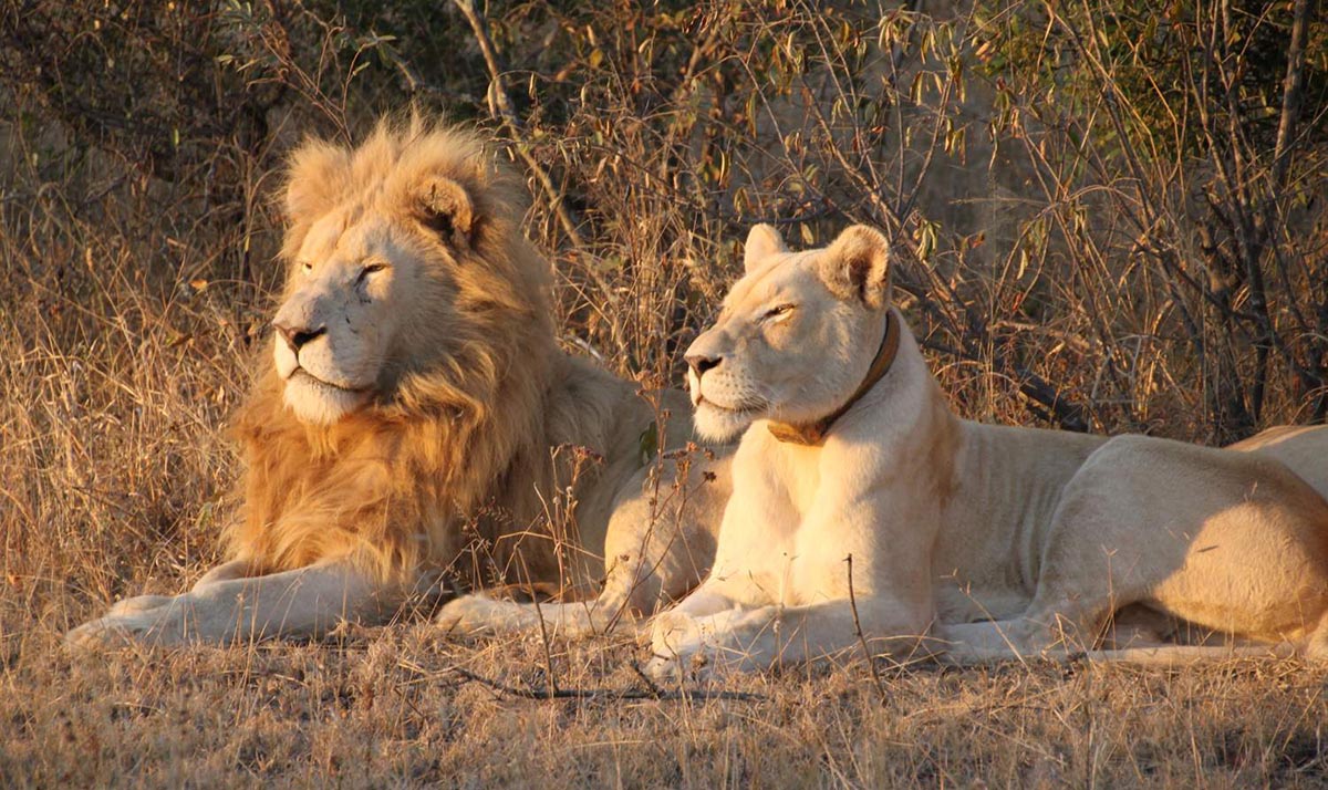 Mandla-and-Zihra-in-the-sunshine 1200 web